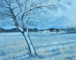 Jabloň  80x100